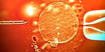 Skandal me dhuruesin e spermës që mbarte gjen kancerogjen, u përdor edhe nga klinikat e fertilitetit në Shqipëri