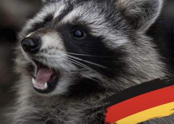 Gjermania ndalon fermat e lëkurave si një hap i rëndësishëm drejt sigurisë dhe lirisë së kafshëve