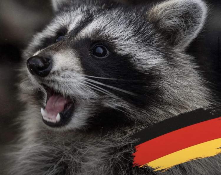 Gjermania ndalon fermat e lëkurave si një hap i rëndësishëm drejt sigurisë dhe lirisë së kafshëve