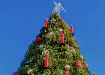 E dinit? Ky vend ka pemën më të madhe të Krishtlindjeve në botë!