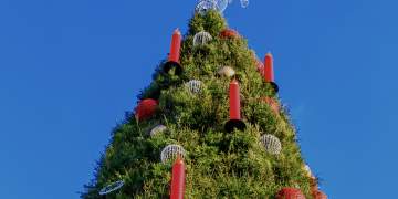 E dinit? Ky vend ka pemën më të madhe të Krishtlindjeve në botë!