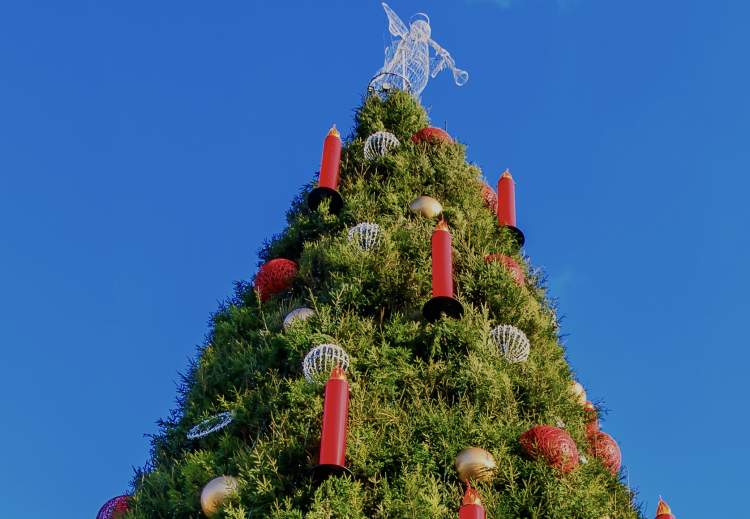 E dinit? Ky vend ka pemën më të madhe të Krishtlindjeve në botë!