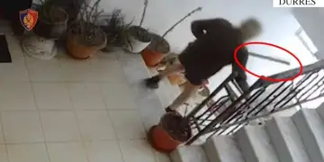 E rëndë në Durrës/ I moshuari tenton të vrasë gruan duke e goditur me sende të forta në kokë