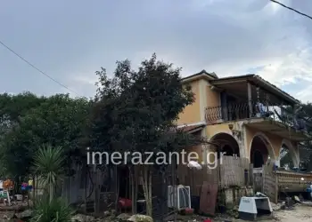 Tronditje në Zakynthos: Djali 2-vjeçar shqiptar humb jetën nga sulmi i një qeni PitBull