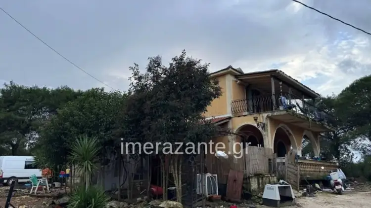 Tronditje në Zakynthos: Djali 2-vjeçar shqiptar humb jetën nga sulmi i një qeni PitBull