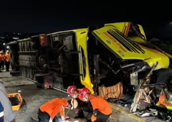 Aksident tragjik me autobus në Indonezi: 16 të vdekur dhe disa të plagosur