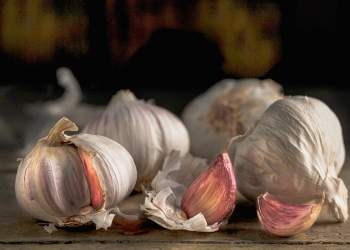 Hudhra, aleatja natyrore e shëndetit: pse ekspertët rekomandojnë konsumimin e saj në mbrëmje