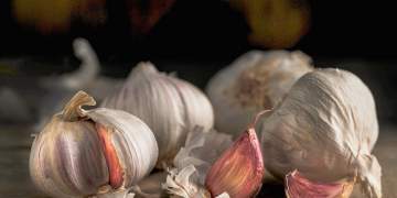 Hudhra, aleatja natyrore e shëndetit: pse ekspertët rekomandojnë konsumimin e saj në mbrëmje