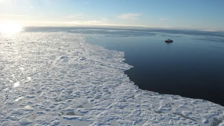 Arktiku përjetoi vitin më të ngrohtë në histori, shkencëtarët janë të shqetësuar