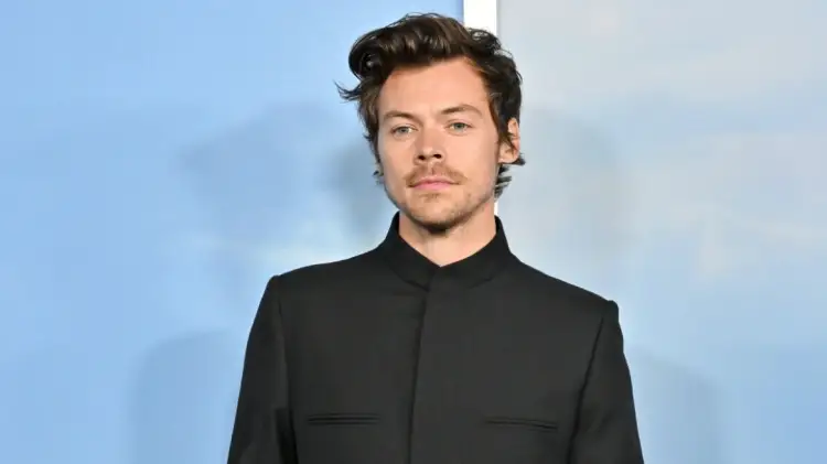 Lëvizja e Harry Styles që nxiti spekulime për rikthimin e tij në muzikë