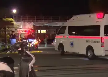 Sulm me thikë në Japoni, 15 persona të plagosur në një fabrikë gomash