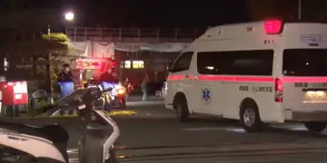 Sulm me thikë në Japoni, 15 persona të plagosur në një fabrikë gomash