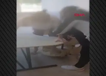 Skandal në Turqi/Videoja e nxënësve me autizëm të lidhur në banka shkakton reagime të ashpra