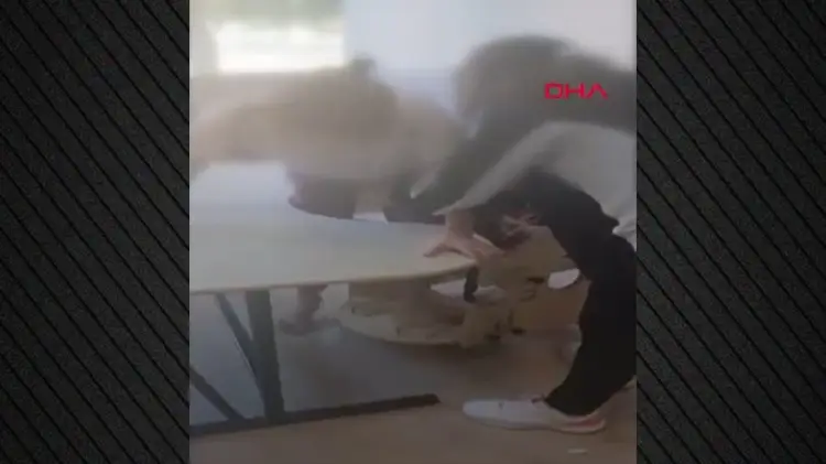 Skandal në Turqi/Videoja e nxënësve me autizëm të lidhur në banka shkakton reagime të ashpra