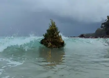 Historia pas pemës së Krishtlindjeve që u bë virale