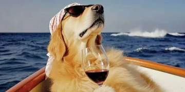 Horoskopi: 28 janar 2026