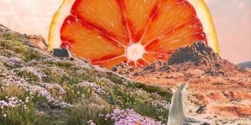 Horoskopi: 29 Janar 2026