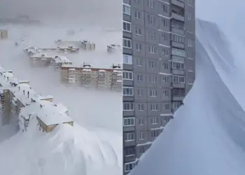 “Apokalips dëbore” në Rusi: qytete të varrosura nën metra borë