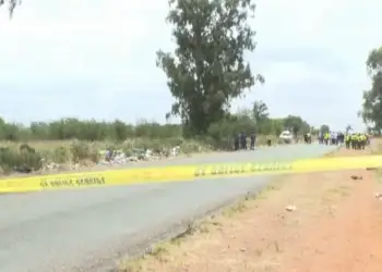 Tragjedi në Afrikën e Jugut: Përplasje mes autobusit shkollor dhe kamionit, 13 fëmijë humbin jetën