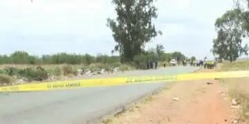 Tragjedi në Afrikën e Jugut: Përplasje mes autobusit shkollor dhe kamionit, 13 fëmijë humbin jetën