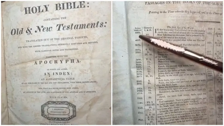 “Bibla” zbulon afatin kohor për ditën e fundit të njerëzimit para gjykimit hyjnor