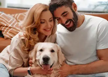 Pse gjithnjë e më shumë të rinj preferojnë të kenë një qen në vend që të kenë fëmijë?