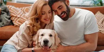 Pse gjithnjë e më shumë të rinj preferojnë të kenë një qen në vend që të kenë fëmijë?