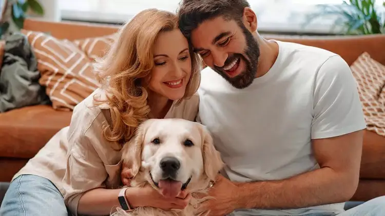Pse gjithnjë e më shumë të rinj preferojnë të kenë një qen në vend që të kenë fëmijë?