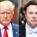 Pas përplasjes së ashpër, Trump dhe Musk shfaqen sërish bashkë: çfarë po përgatitet për 2026?