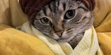 Horoskopi: 21 shkurt 2026