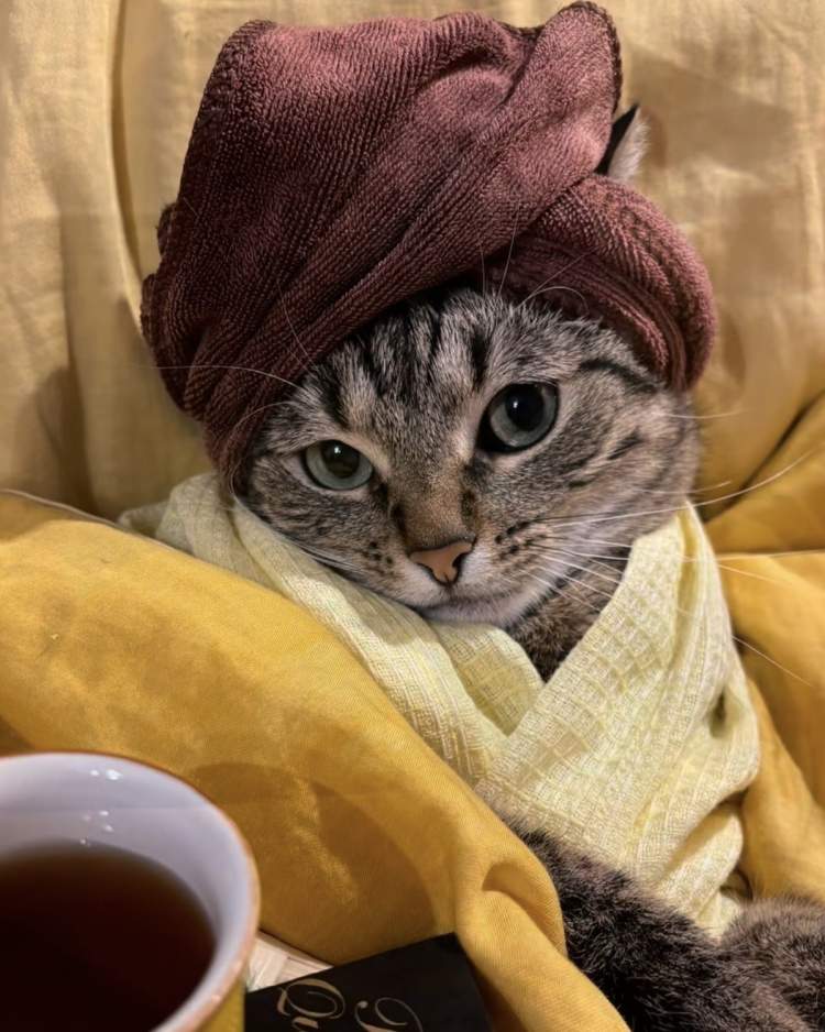 Horoskopi: 21 shkurt 2026