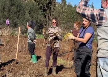 Të rinjtë nga e gjithë bota mbjellin 3 000 fidanë në mbrojtje të Vjosës