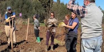 Të rinjtë nga e gjithë bota mbjellin 3 000 fidanë në mbrojtje të Vjosës