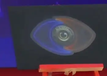 Anulohet televotimi, Big Brother përjashton banorin