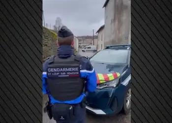 Tmerr në Francë/ Nëna 50-vjeçare rrëfeu se kishte futur të porsalindurit në frigorifer pas lindjes