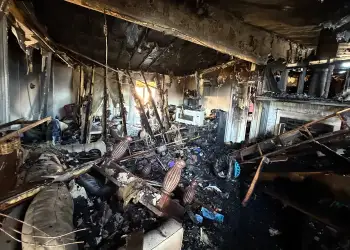 Ketri përtypi telat elektrikë, digjet plotësisht shtëpia e familjes në Florida!