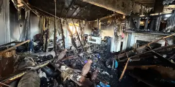 Ketri përtypi telat elektrikë, digjet plotësisht shtëpia e familjes në Florida!