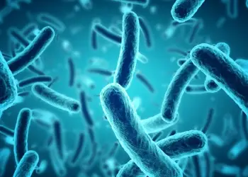 Jeta e padukshme nën Tokë dhe mikrobet që mund të presin miliona vjet për t’u zgjuar