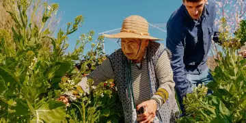 Si disa minuta aktivitete të përditshme mund të përmirësojnë shëndetin dhe të zgjasin jetën!