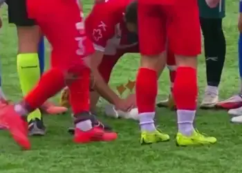 Futbollisti i shpëton jetën një pulëbardhe në Turqi duke i kryer CPR