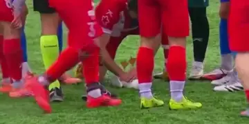 Futbollisti i shpëton jetën një pulëbardhe në Turqi duke i kryer CPR