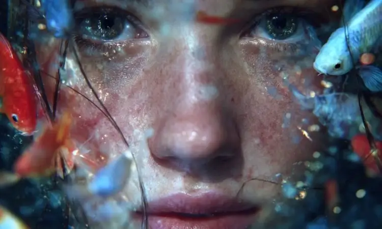 5 arsye pse Peshqit janë shenja më e veçantë e zodiakut