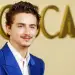 A e ka humbur shkëlqimin djali i artë i Hollivudit, Timothée Chalamet?