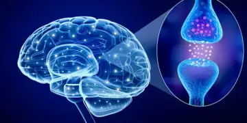 Flokët si tregues i hershëm i sëmundjes së Parkinsonit, çfarë zbuluan shkencëtarët