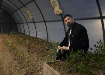 “Kam punuar me bimët…”, hyrja ndryshe e Elvis Pupës në Ferma VIP 3