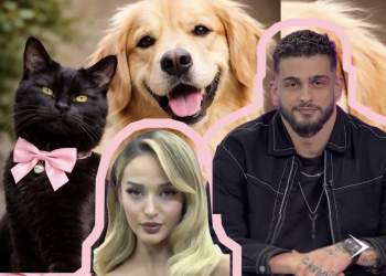 Pse marrëdhëniet funksioniojnë më mirë mes një “Black Cat” dhe një “Golden Retriever”?