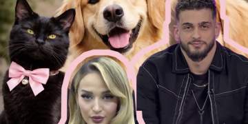 Pse marrëdhëniet funksioniojnë më mirë mes një “Black Cat” dhe një “Golden Retriever”?