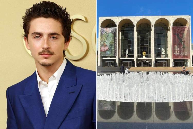 “Askush nuk interesohet për baletin apo operën”/ Opera Metropolitane i përgjigjet Timothée Chalamet
