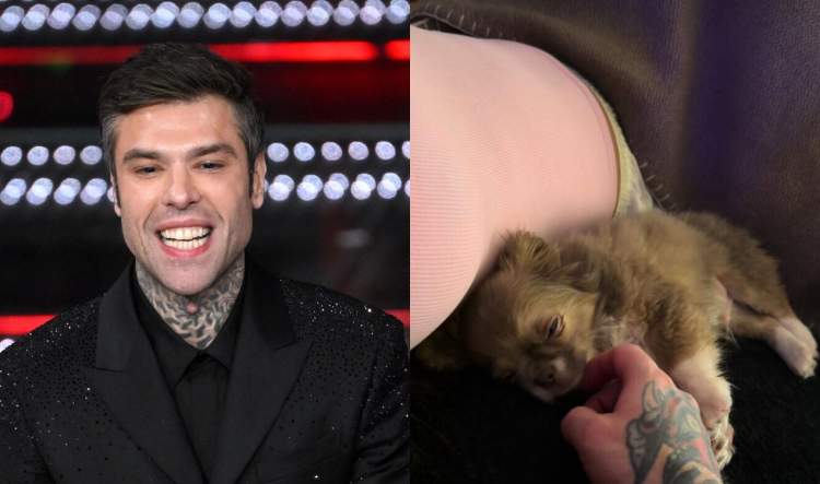 Një foto që ngriti dyshime: A është shtatzënë e dashura e Fedez?