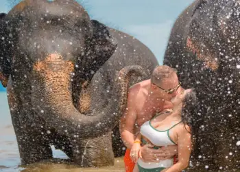 Tragjedi në Guatemalë: Botuesi milioner norvegjez dhe gruaja e tij shtatzënë humbin jetën në rrëzimin e aeroplanit